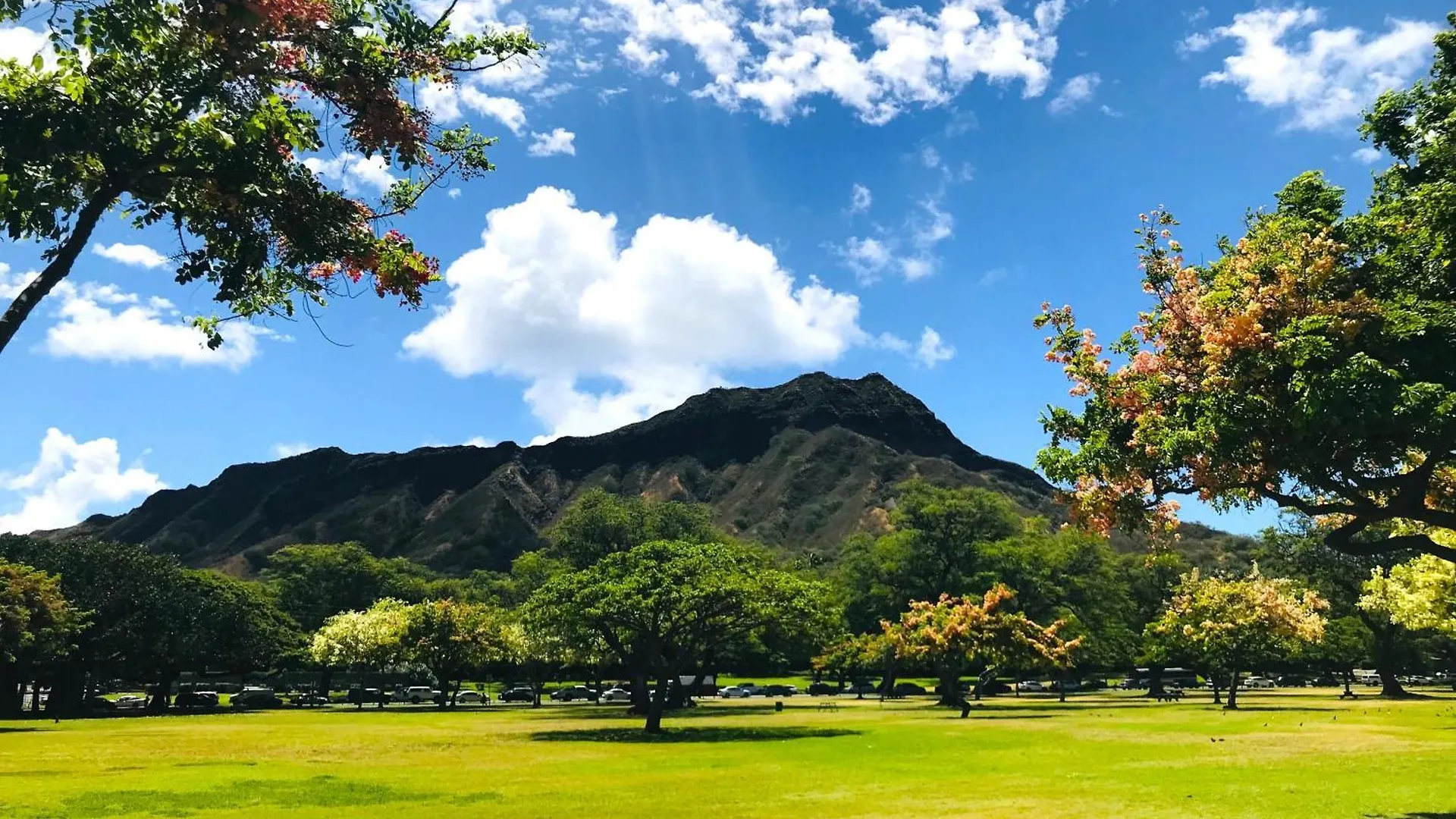 Royal Kuhio 2302 - Spacious Studio With Stunning Mountain Views In The Heart Of Waikiki! هونولولو 0*,